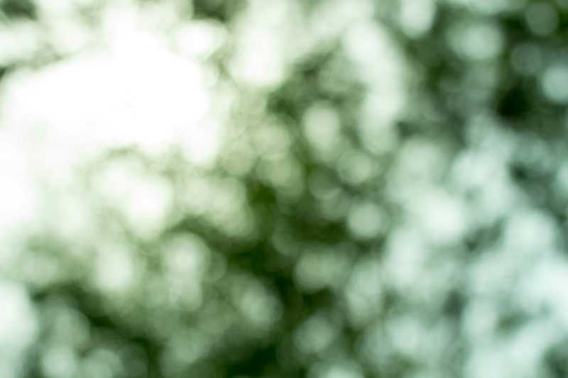 Preliminary Target Audience&nbsp;Overview